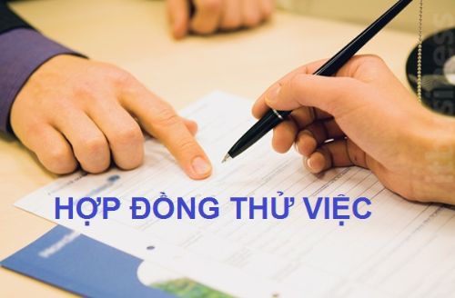 hop-dong-thu-viec