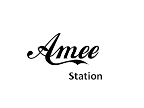 Công Ty TNHH Amee Station