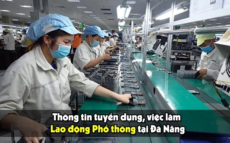 tuyển dụng lđpt tại Đà Nẵng