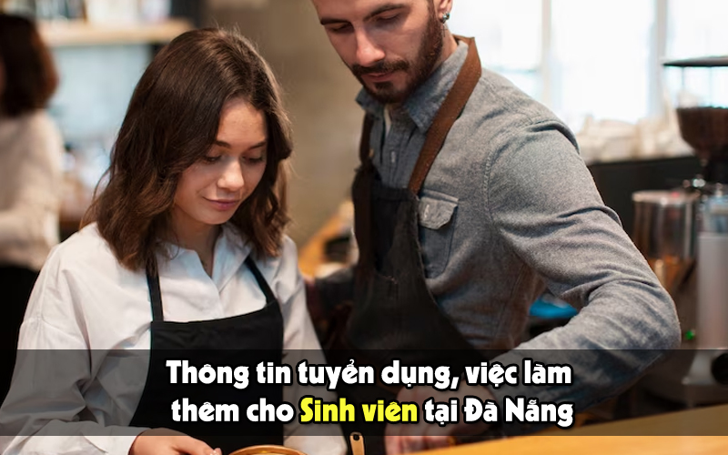 tìm việc làm cho sinh viên tại Đà Nẵng